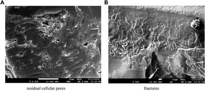 Geological occurrence and productivity prediction for coalbed methane of central Hunan depression, China